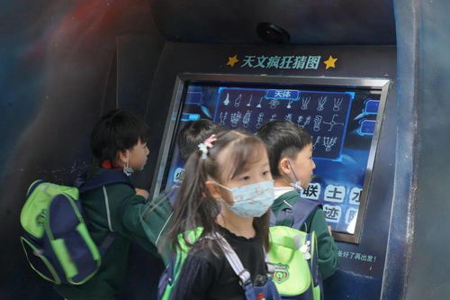 家庭的纽带，探索家庭成员及社会关系的奥秘