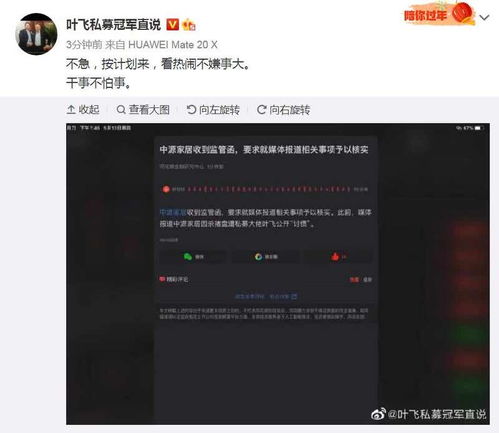 家庭的纽带，探索家庭成员及社会关系的奥秘