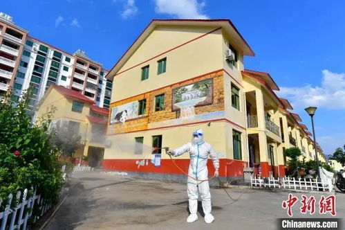 全面掌握最新疫情动态，31省市新增病例分析
