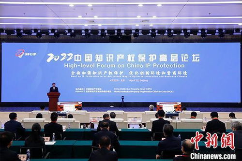 贵州省知识产权局，守护创新之火，点燃发展新引擎
