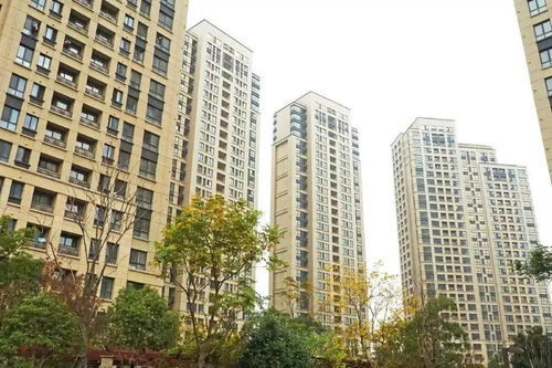 洛阳公租房，城市温暖的避风港