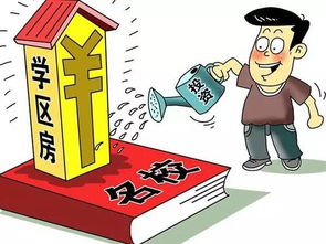 车辆保险费，全面解读与节省技巧