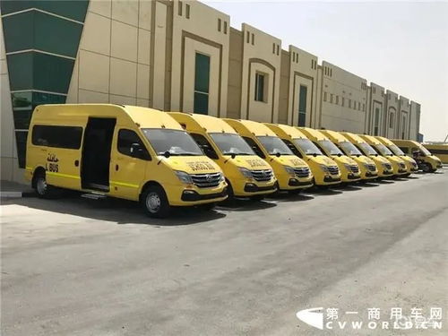 校车成本解析，安全、舒适与经济的平衡艺术