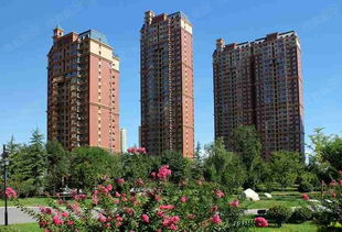 探索苍溪二手房市场，投资与居住的双重视角