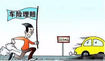 守护安全，从交强险开始，保险公司的角色与重要性