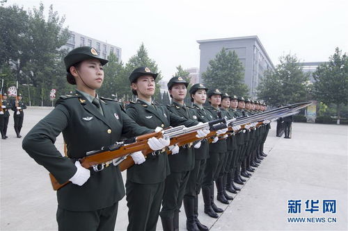 汗水铸就辉煌，中华人民共和国劳动的力量与魅力