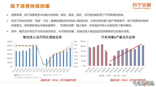 沧州房屋出租市场深度解析，机遇、挑战与未来趋势