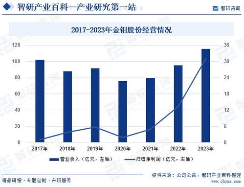 沧州房屋出租市场深度解析，机遇、挑战与未来趋势