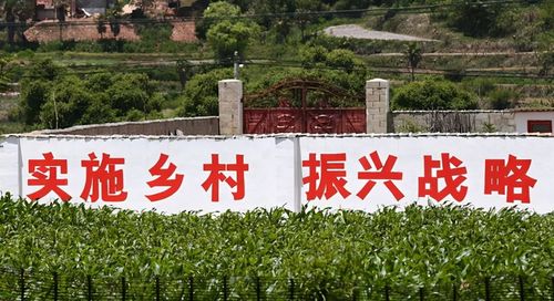 携手共进，农村扶贫标准，让希望的田野不再贫瘠
