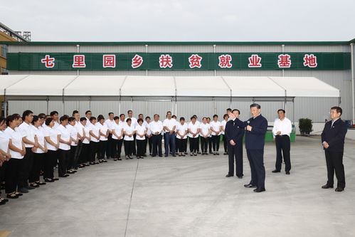 福建省经贸委，推动区域经济发展的桥梁