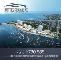 厦门贸发局，推动区域经济繁荣的先锋力量