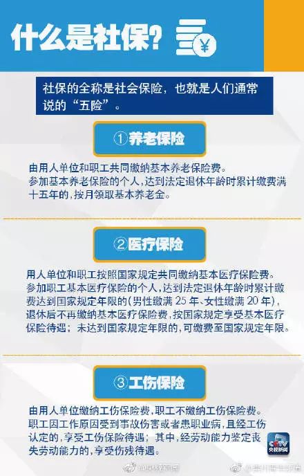 上海综合保险缴费查询指南，全面了解你的社保权益