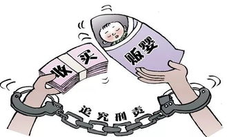 建造师替考，道德与法律的双重红线