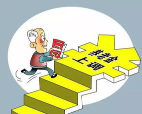 退休不是终点，探索法定退休年龄的奥秘