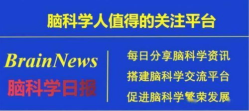 什么是销售商，深入了解销售商的角色、功能与影响