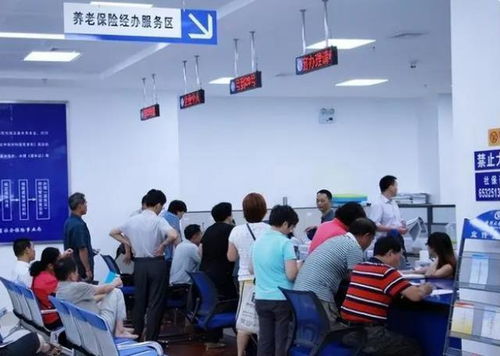 社会保险，你的生活安全网