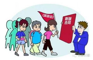 旅行无忧，揭秘旅行社责任险的保护伞
