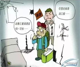 旅行无忧，揭秘旅行社责任险的保护伞