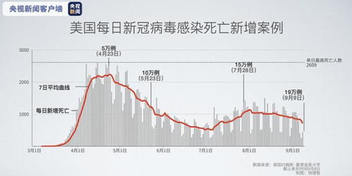美国新冠病毒死亡人数，深入解析与未来展望