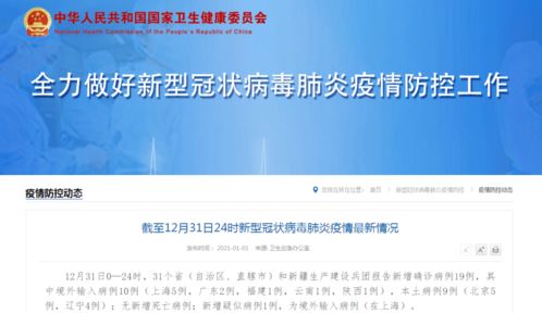 广东疫情新动态，新增9例本土病例的应对与预防