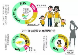 河南二胎政策，家庭规划与社会发展的新篇章