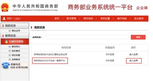 北京备案二手车，市场、流程与购买指南