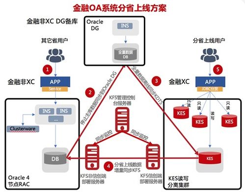 深入解析，如何高效进行企业性质查询