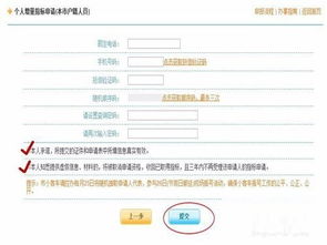 小客车摇号结果查询，轻松掌握查询技巧，提高中签率