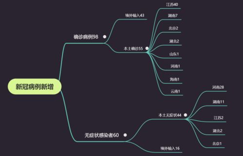 深入解析，中国31省昨日新增本土确诊55例背后的疫情动态与防控策略