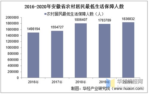 农民养老保险，保障农村老年生活的关键