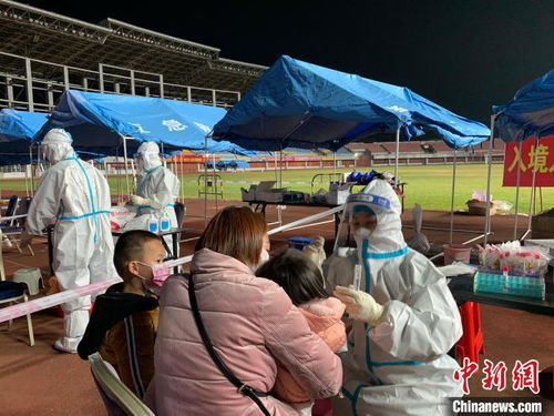 辽宁省疫情新动态，新增5例本土确诊病例，防控措施升级与民众生活影响分析