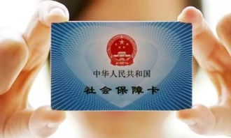 番禺社保查询，全面指南与实用技巧