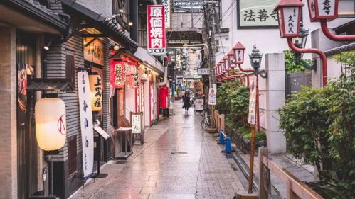 淮海西路55号，上海的隐秘角落与城市记忆