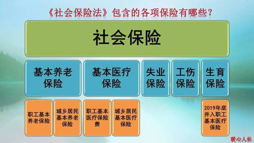 了解社保，每月缴费额的计算与影响因素