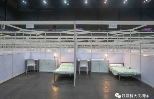 上海疫情新动态，理解本土确诊与无症状感染者的重要性
