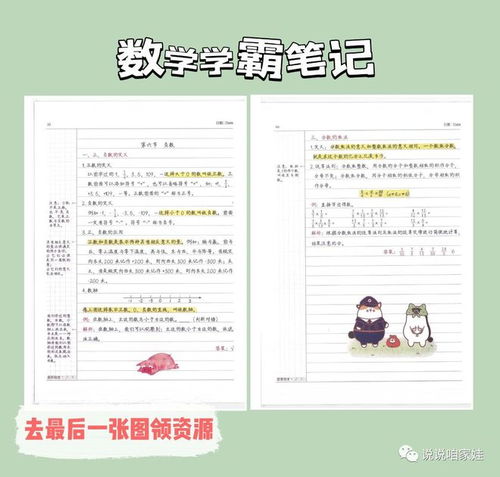 轻松掌握档案所在地查询，实用指南与技巧