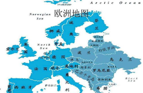 面积计算的艺术，从基础到高级应用
