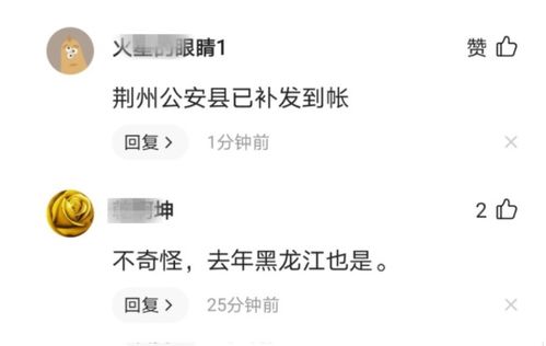 养老金调整，最新动态与影响解析