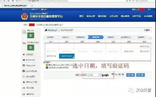 安阳市车辆违章查询，如何轻松掌握违章信息及处理方法