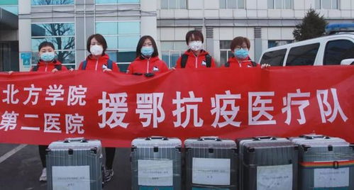 河北疫情再起波澜，新增本土9例，防控措施升级与民众生活影响解析