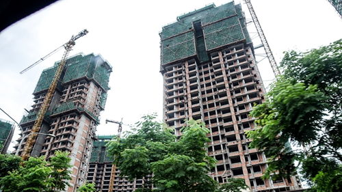 非普通住房，探索豪华住宅的非凡魅力与市场趋势