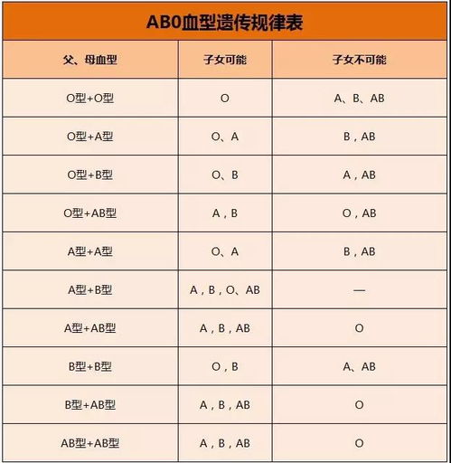 亲子鉴定费用大揭秘，深入了解DNA测试的成本与价值