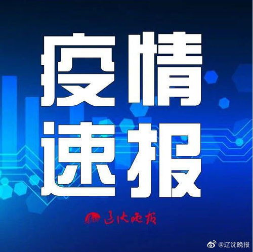 北京疫情新动态，昨日新增36例本土确诊的深度解析与应对策略
