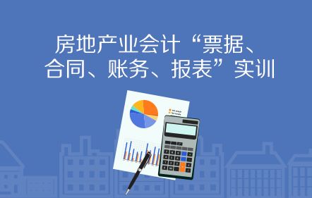 新企业会计制度，适应现代商业环境的财务指南