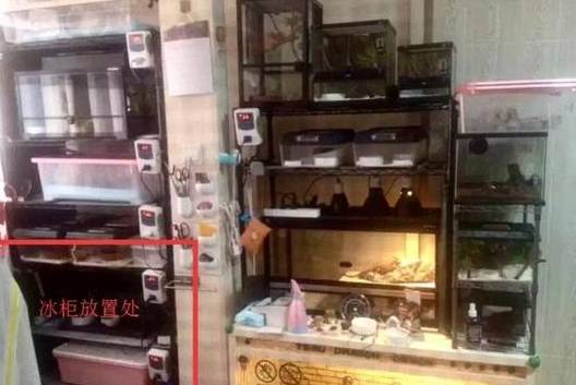 现金藏冰箱后失火，家庭财产安全与应急措施指南