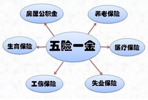 辞职时如何妥善处理五险一金，一份全面的指南