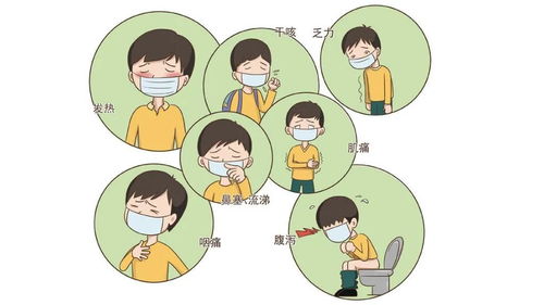 疫情动态，31省份新增本土确诊2例背后的数据解读与个人防护指南
