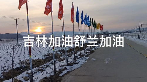 广州疫情最新动态，防控措施与日常生活的平衡