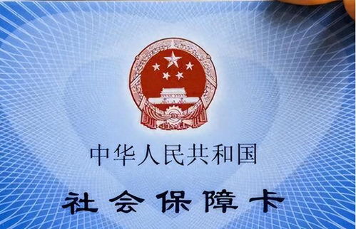 上海社保局，市民福利的守护者，解读上海社保政策与服务