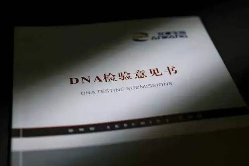 深圳亲子鉴定，揭开家庭真相的科学钥匙